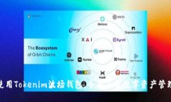 使用Tokenim波场钱包,全面了解数字资产管理