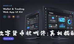 数字货币被叫停:真相揭秘