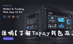 Topay钱包在中国合法吗?了解Topay钱包及其在中国