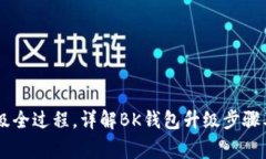 BK钱包升级全过程,详解BK钱包升级步骤及注意事
