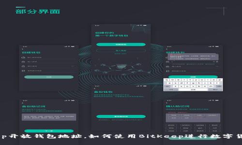 BitKeep开放钱包地址,如何使用BitKeep进行数字货币交易