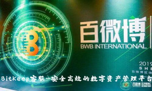 BitKeep客服-安全高效的数字资产管理平台