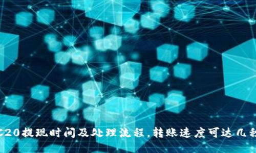 TRC20提现时间及处理流程,转账速度可达几秒钟