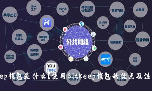 BitKeep钱包是什么?使用BitKeep钱包的优点及注意事项