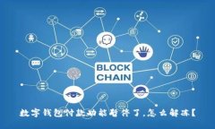 数字钱包付款功能暂停了,怎么解冻?