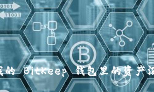 为什么我的 BitKeep 钱包里的资产没有到帐?