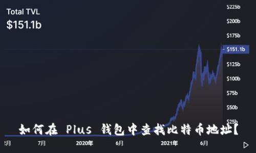 如何在 Plus 钱包中查找比特币地址？