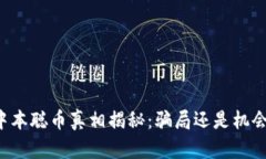 中本聪币真相揭秘:骗局还是机会?