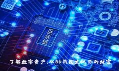 了解数字资产:从BK钱包发现你的财富