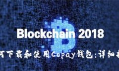 如何下载和使用Copay钱包:详细指南