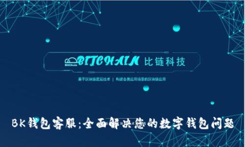 BK钱包客服:全面解决您的数字钱包问题