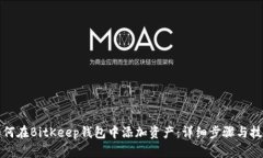 如何在BitKeep钱包中添加资产:详细步骤与技巧