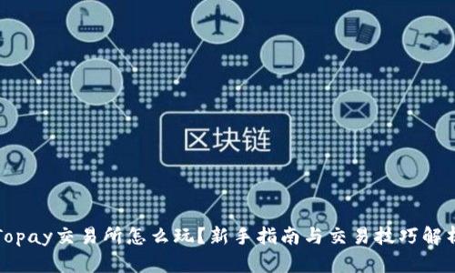 Topay交易所怎么玩?新手指南与交易技巧解析