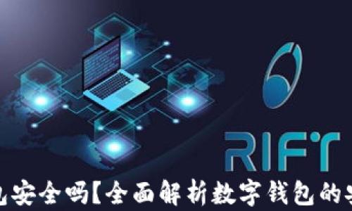 下载数字钱包安全吗?全面解析数字钱包的安全性与风险