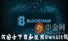 如何安全下载和使用Ownbit钱包