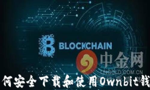 如何安全下载和使用Ownbit钱包