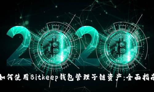 如何使用Bitkeep钱包管理子链资产:全面指南