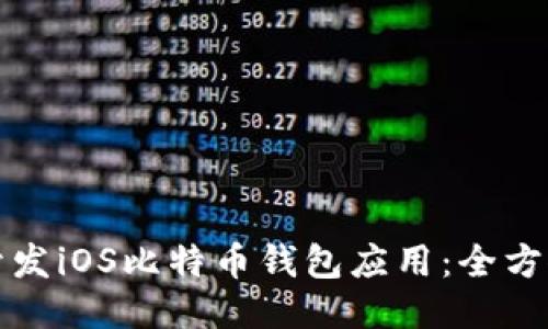 如何开发iOS比特币钱包应用:全方位指南