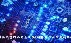 比特派钱包打不开怎么办?解决方案与常见问题