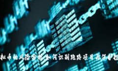虚拟币的风险分析:如何识别跑路项目与保护投