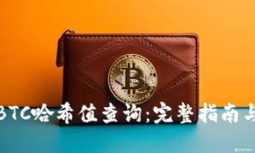 如何进行BTC哈希值查询:完整指南与实用工具