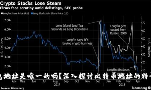 比特币钱包地址是唯一的吗？深入探讨比特币地址的特性及安全性