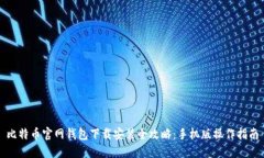 比特币官网钱包下载安装全攻略：手机版操作指