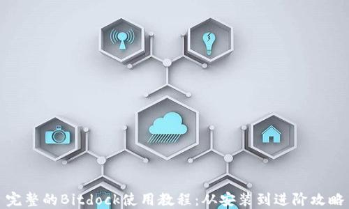完整的Bitdock使用教程:从安装到进阶攻略