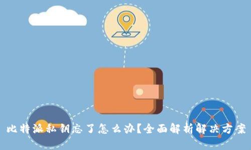 比特派私钥忘了怎么办?全面解析解决方案