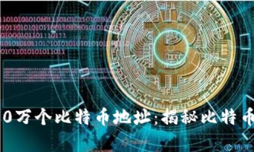 标题: 中本聪的100万个比特币地址:揭秘比特币创始人的财富秘密