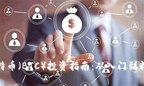 比特币(BTC)投资指南:从入门到精通