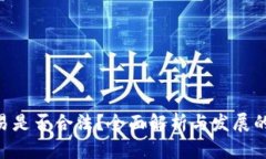 OKPay交易是否合法?全面解析与发展的法律环境
