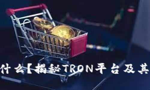 TRX币是什么?揭秘TRON平台及其主要应用