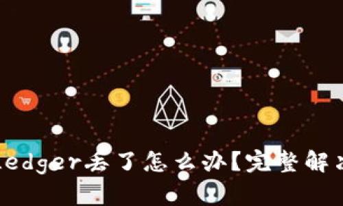如果Ledger丢了怎么办?完整解决指南
