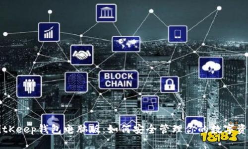BitKeep钱包电脑版:如何安全管理你的数字资产