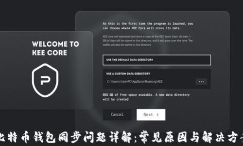 
比特币钱包同步问题详解：常见原因与解决方案