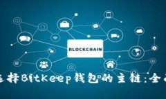 如何选择BitKeep钱包的主链:全面指南