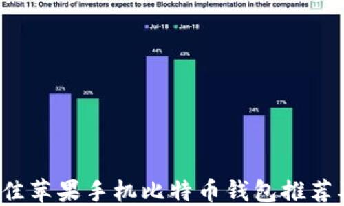 
2023年最佳苹果手机比特币钱包推荐及使用指南