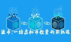 波币:一场虚拟币投资的新机遇