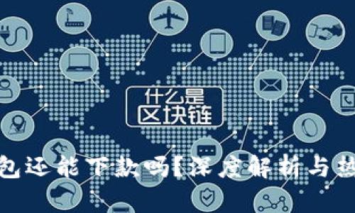 数字钱包还能下款吗?深度解析与热门选择
