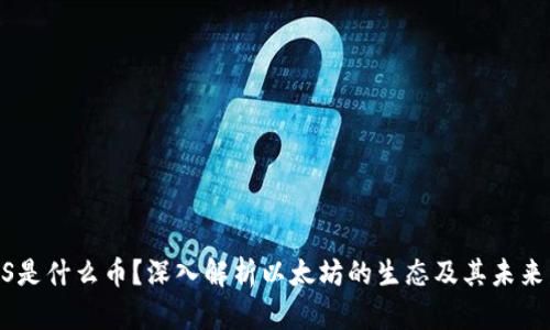 ETHS是什么币?深入解析以太坊的生态及其未来发展