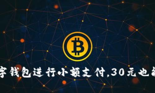 如何利用数字钱包进行小额支付,30元也能买到好东西