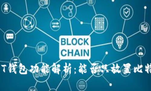 USDT钱包功能解析:能否只放置比特币?
