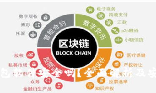 虚拟钱包软件安全吗?全面解析及安全指南