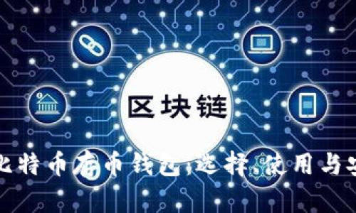 全面解析比特币存币钱包：选择、使用与安全性指南