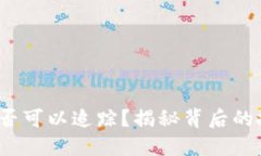虚拟币交易是否可以追踪?揭秘背后的技术与隐