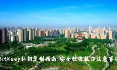 BitKeep私钥复制指南:安全性与操作注意事项