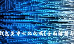 BitKeep钱包是中心化的吗?全面解析与用户指南
