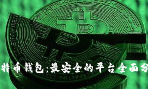 比特币钱包：最安全的平台全面分析