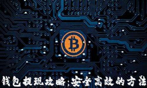 
比特币钱包提现攻略：安全高效的方法与步骤